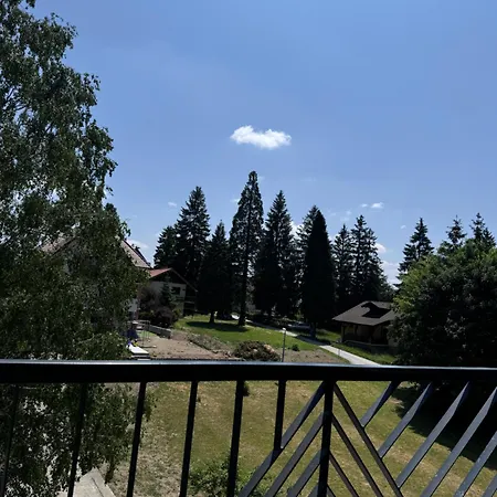 Natalijina Ramonda Zlatibor